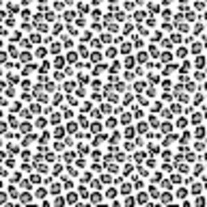 Meet your Posher, Shirley